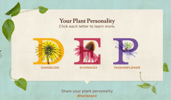 Plant personality